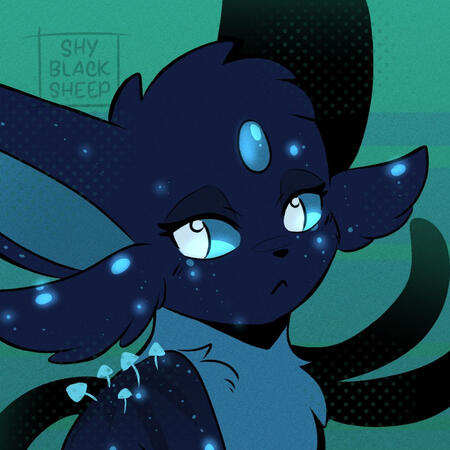 Credit: ShyBlackSheep